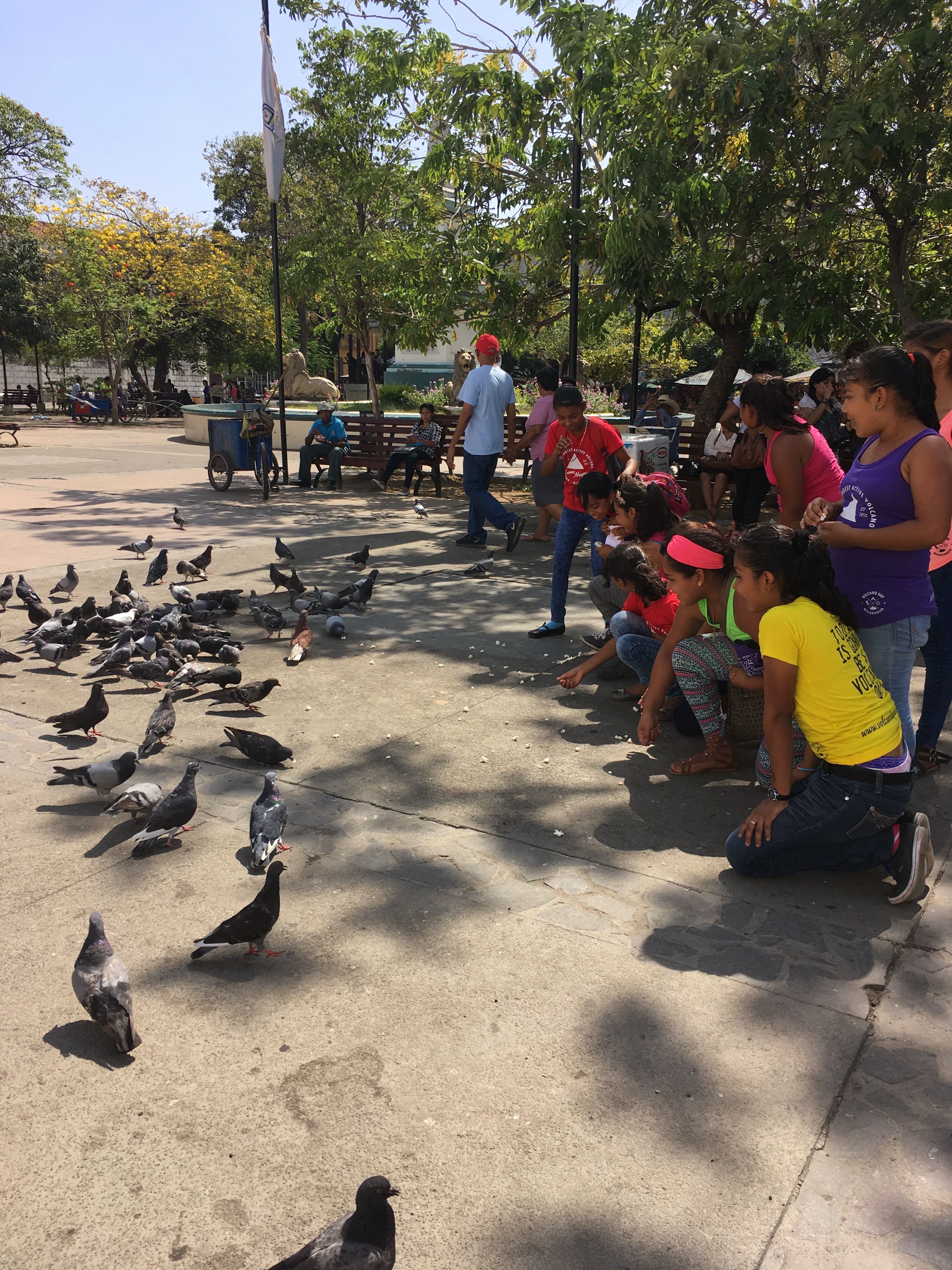 Our 7th graders loved seeing all of the pigeons in the park and were excited to feed them. 